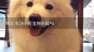 镇江有24小时宠物医院吗