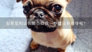 如果是的话你能否给我一些建议和指导呢？