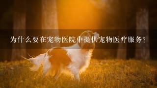 为什么要在宠物医院中提供宠物医疗服务？