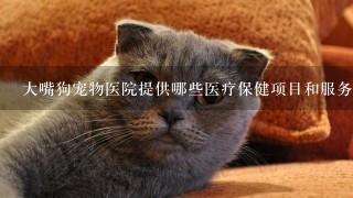 大嘴狗宠物医院提供哪些医疗保健项目和服务？