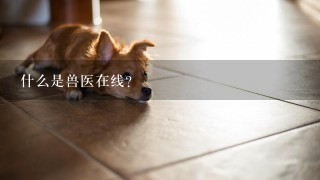 什么是兽医在线？