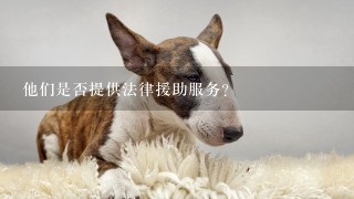 他们是否提供法律援助服务？