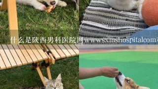 什么是陕西男科医院网wwwsxmshospitalcom和它如何帮助患者找到最佳治疗方案？