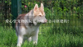 爱心堂宠物医院是由哪家公司创建的