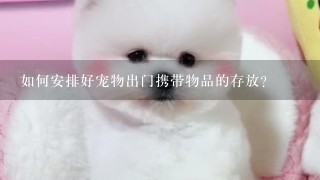 如何安排好宠物出门携带物品的存放