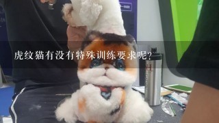 虎纹猫有没有特殊训练要求呢