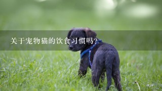 关于宠物猫的饮食习惯吗