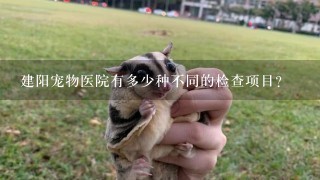 建阳宠物医院有多少种不同的检查项目