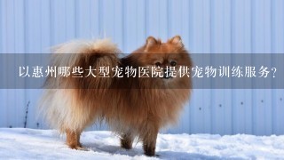 以惠州哪些大型宠物医院提供宠物训练服务?