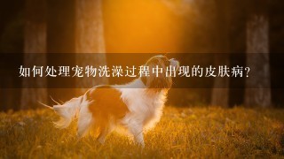 如何处理宠物洗澡过程中出现的皮肤病?