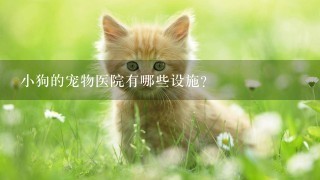 小狗的宠物医院有哪些设施?