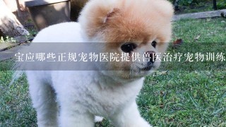 宝应哪些正规宠物医院提供兽医治疗宠物训练服务?