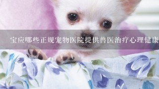 宝应哪些正规宠物医院提供兽医治疗心理健康服务?