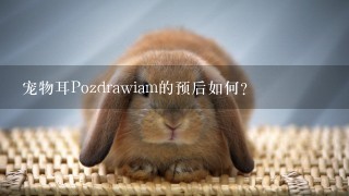 宠物耳Pozdrawiam的预后如何?