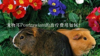 宠物耳Pozdrawiam的治疗费用如何?