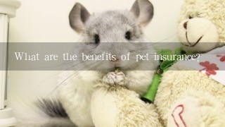 What are the benefits of pet insurance?